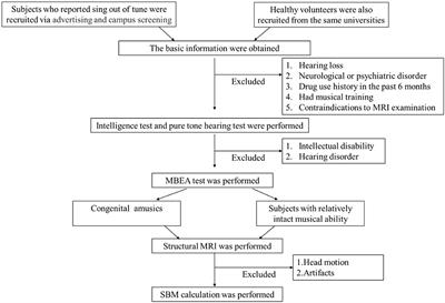 Cortical Morphological Changes in Congenital Amusia: Surface-Based Analyses